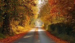 snelweg herfst
